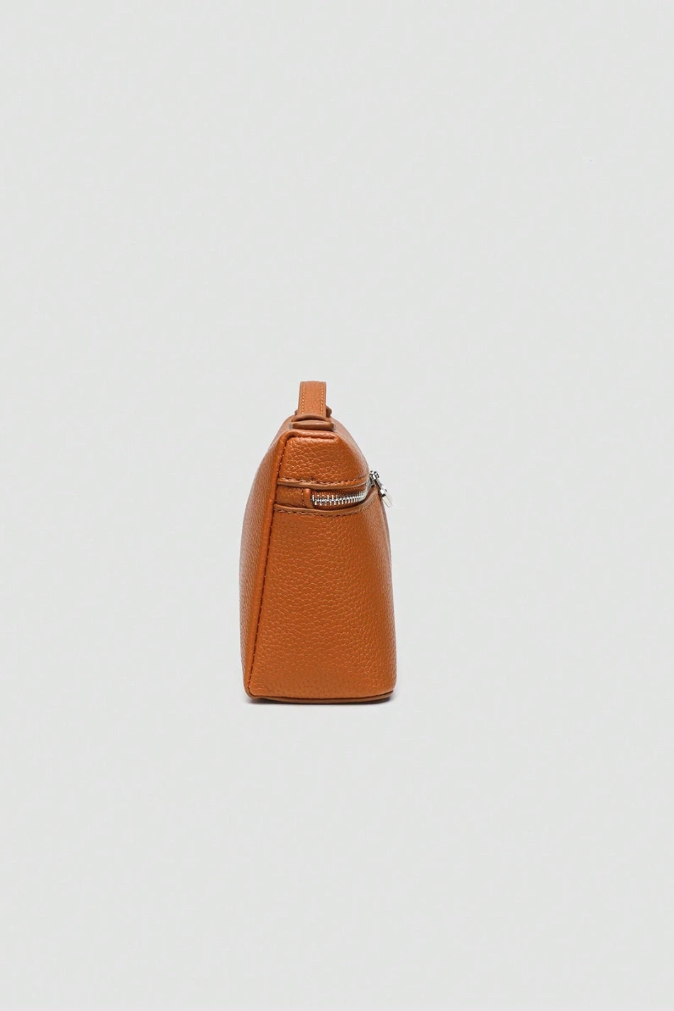 IRIS Camel